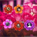 Сергій Шинкарук фотография #23 (источник - https://vk.com/id43398233)