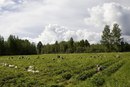 Робота Фінляндії фотография #49 (источник - https://vk.com/id163147454)