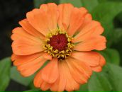 Олексій Максименко фотография #22 (источник - https://vk.com/id50386759)