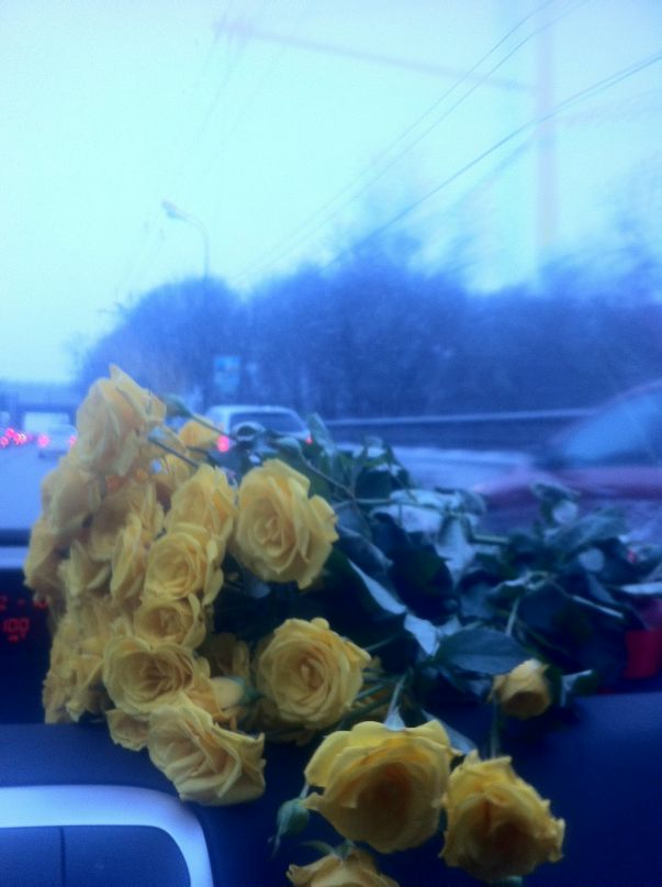 Лидия Базылева фотография #19