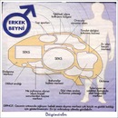 Hakan Arslan фотография #8 (источник - https://vk.com/id155167551)