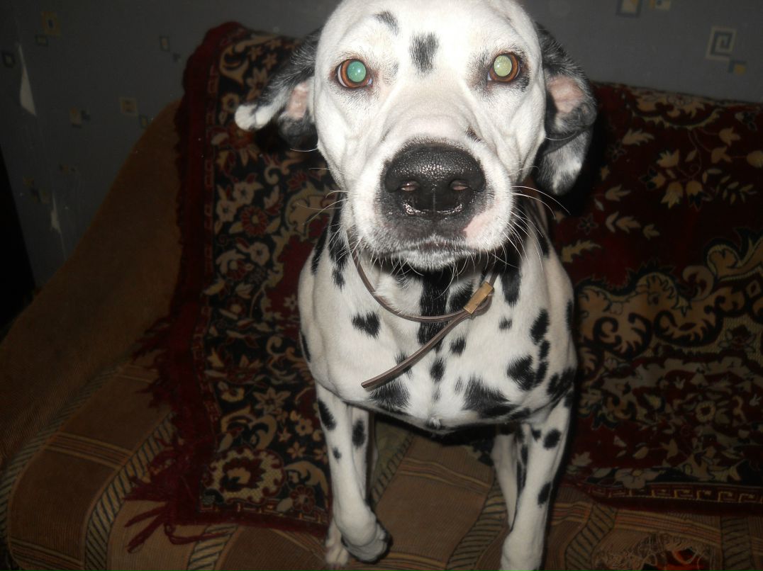 Сергей Сергеевич фотография #46