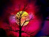 Фотография Симкиной Елены