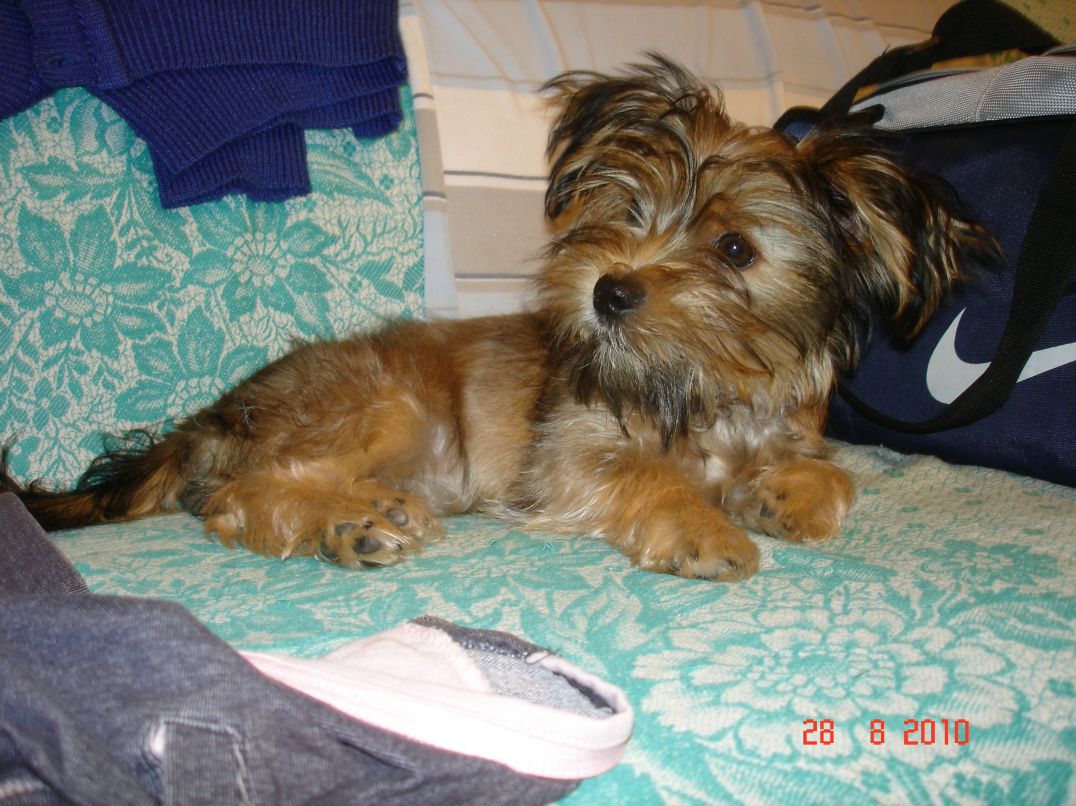 Иван Андреев фотография #47