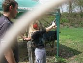 Фотография Лавровой Елены