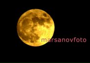 Фотография Марсанова Андрея