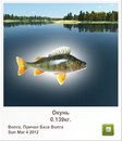 Юлечка Білан фотография #42 (источник - https://vk.com/id161527670)