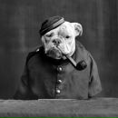 Фотография Ушакова Александра