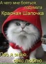Фотография Королевой Марии