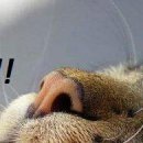 Діма Бричка фотография #47 (источник - https://vk.com/id137975523)