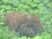 Фотография Литвинчука Евгения