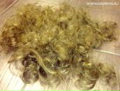 Фотография Крупатина Николая