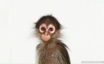 Фотография Мухиной Юлии