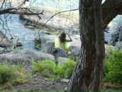 Фотография Соковниной Елены