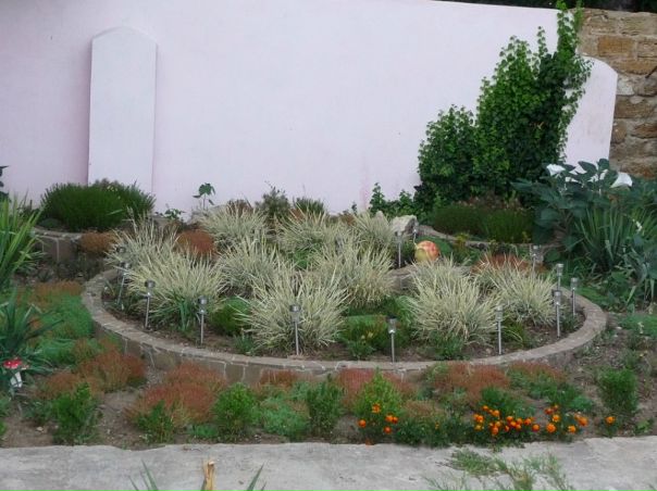 Виктор Левченко фото №35