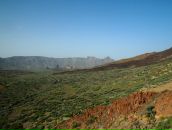 Мария Цырулева фотография #39 (источник - https://vk.com/id780803)