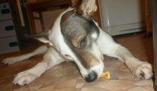 Фотография Седининой Вероники