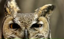 Фотография Назаровой Риммы