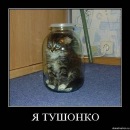 Фотография Оранского Святослава