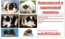 Діана Никнейм фотография #5 (источник - https://vk.com/id140116365)