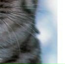 Орися Лошній фотография #18 (источник - https://vk.com/id29828846)