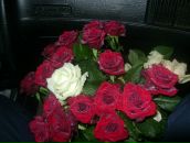 Ігор Лучечко фотография #48 (источник - https://vk.com/id32800702)