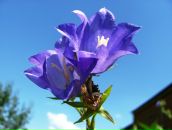 Фотография Кузьминых Светланы