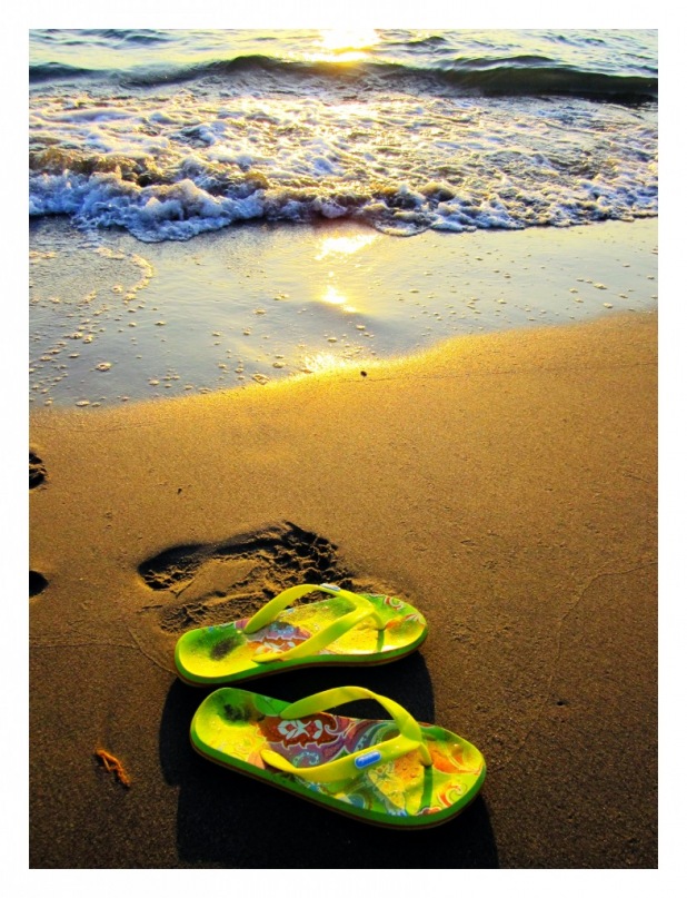 Яблоко Зеленое фотография #18