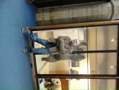 Олег Фітьо фотография #6 (источник - https://vk.com/id34829295)