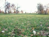 Рю Мураками фотография #32 (источник - https://vk.com/id2067589)