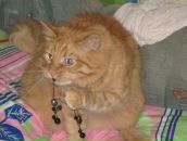 Фотография Вдовиной Оксаны