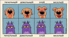 Alex Alex фотография #40 (источник - https://vk.com/id862591)