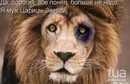 Андрій Олещук фотография #18 (источник - https://vk.com/id69938592)