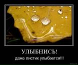 Антон Матійко фотография #23 (источник - https://vk.com/id31452730)