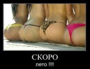Фотография Сергей Гуляев