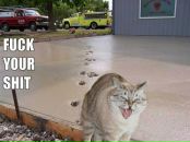 Міра Ставнича фотография #12 (источник - https://vk.com/id6229248)