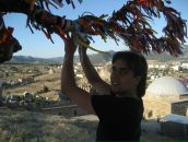 Фотография Стифлера Евгения