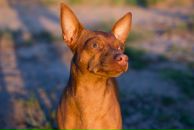 Фотография Дроздовой Виктории