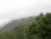 Дмитрий Туулас фотография #41 (источник - https://vk.com/id333511)