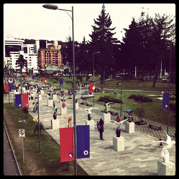 Вера Архангельская фотография #27