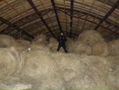 Фотография Орловского Сергея