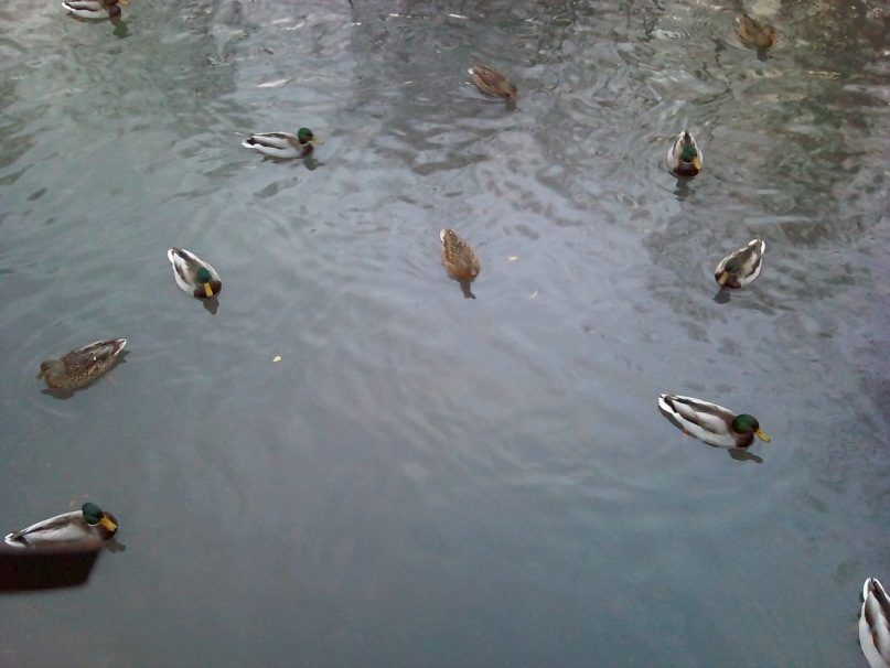 Игорь Владимирович фотография #41