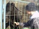 Андрій Борисюк фотография #22 (источник - https://vk.com/id132496869)