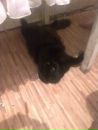 Віталій Шкондін фотография #35 (источник - https://vk.com/id132715447)