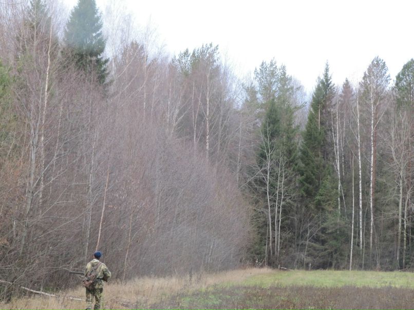 Игорь Рафаилов фотография #32