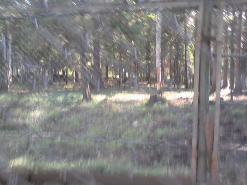 Виктор Крутиков фотография #47