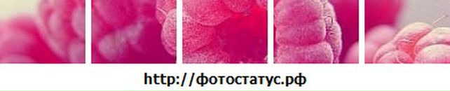 Анюта Тен фотография #10 (источник - https://vk.com/id2913362)