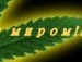 Олег Міщук фотография #39 (источник - https://vk.com/id114076764)