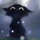 Фотография Медведева Антона