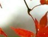 Андрій Квасниця фотография #10 (источник - https://vk.com/id23147799)